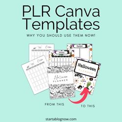 PLR Canva Templates, Why You SHOULD Use Them NOW